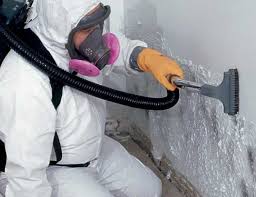 Best Mold Remediation for Healthcare Facilities  in Altamont, IL